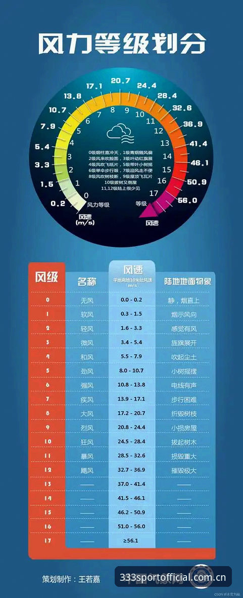 体育官方APP下载全过程深度分析——从安全验证到版本安装的实用指南