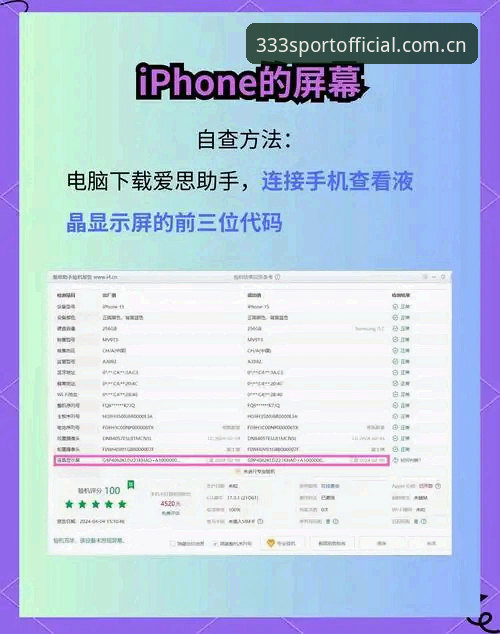 体育苹果版vs安卓版：哪个更适合你？——333体育平台使用对比与安装指南